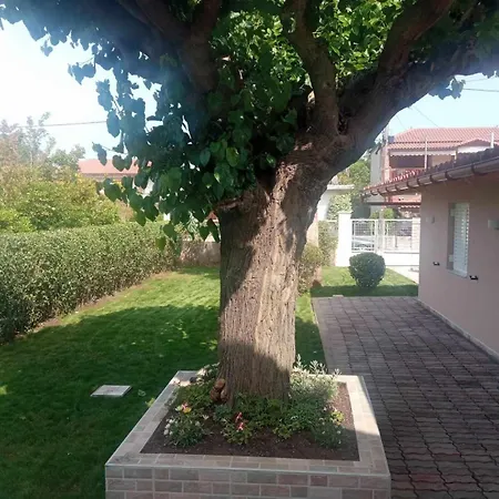 Casa vacanze Galini Prokopi