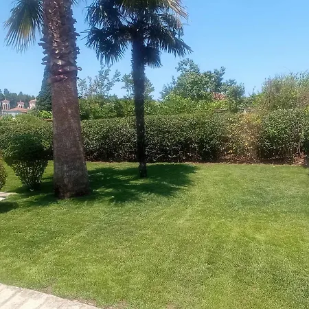 Galini Holiday home *